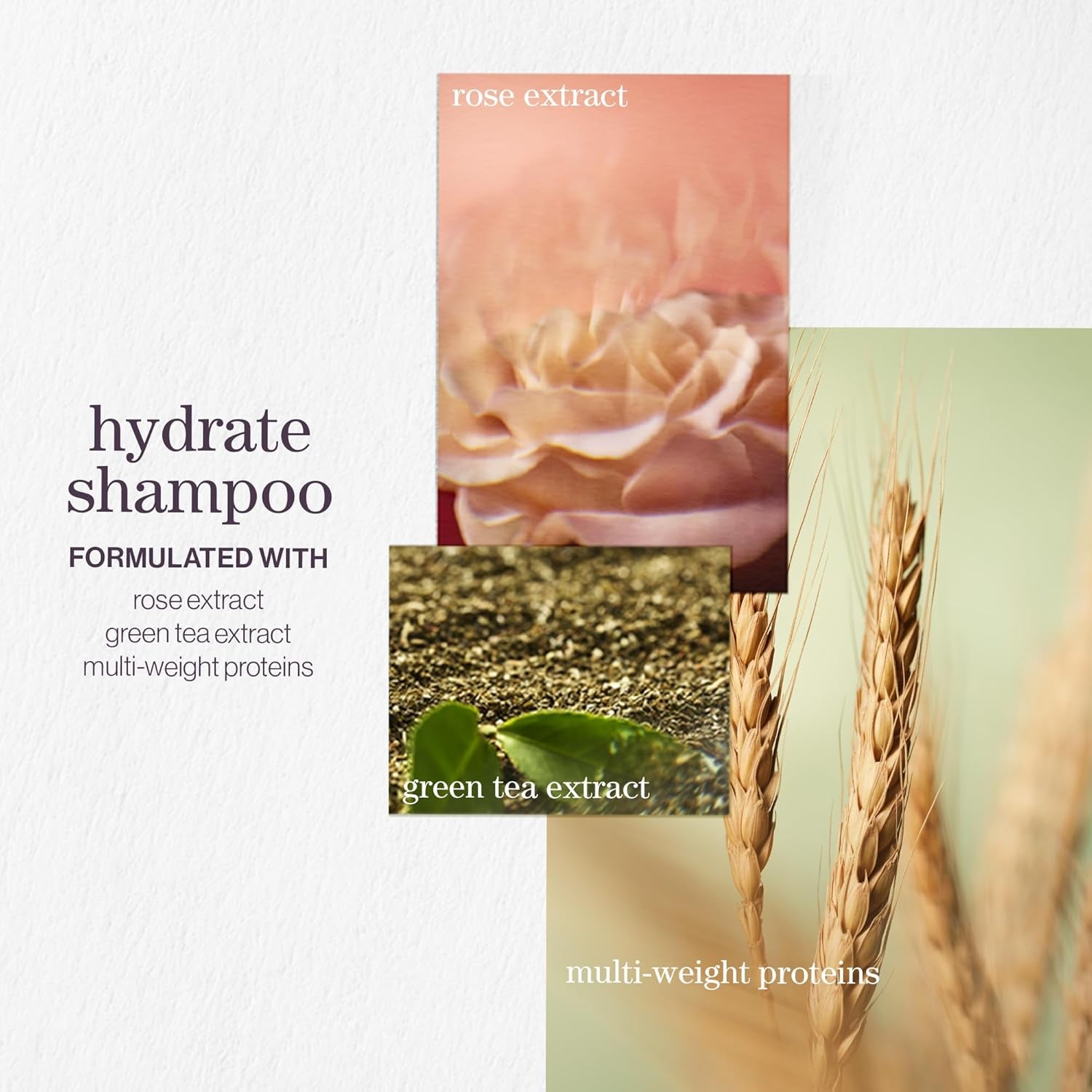 Healthy and Hydrated Haircare Set