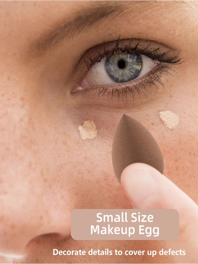 Premier Make Up  Brushes & Sponges Set Professional Blending Everyday Beauty