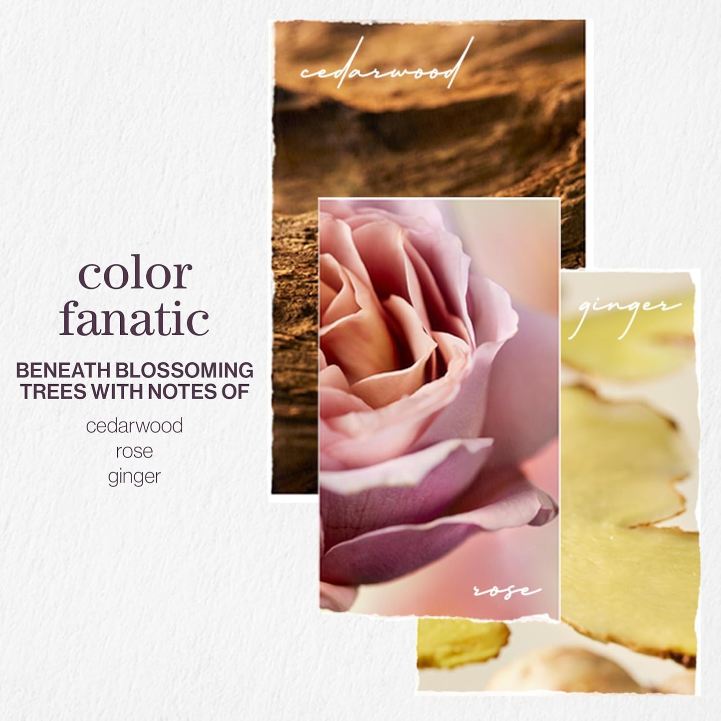 Healthy and Hydrated Haircare Set