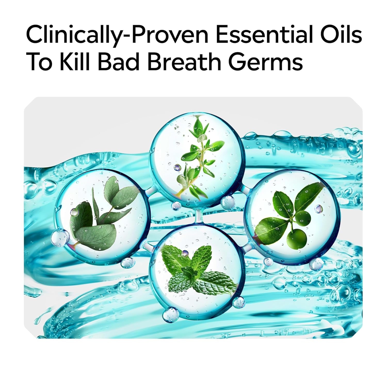 Ultraclean Oral Care Antiseptic Mouthwash, Everfresh Technology to Help Fight Bad Breath, Gingivitis, Plaque & Tartar, Ada-Accepted Tartar Control Oral Rinse, Cool Mint, 1 L